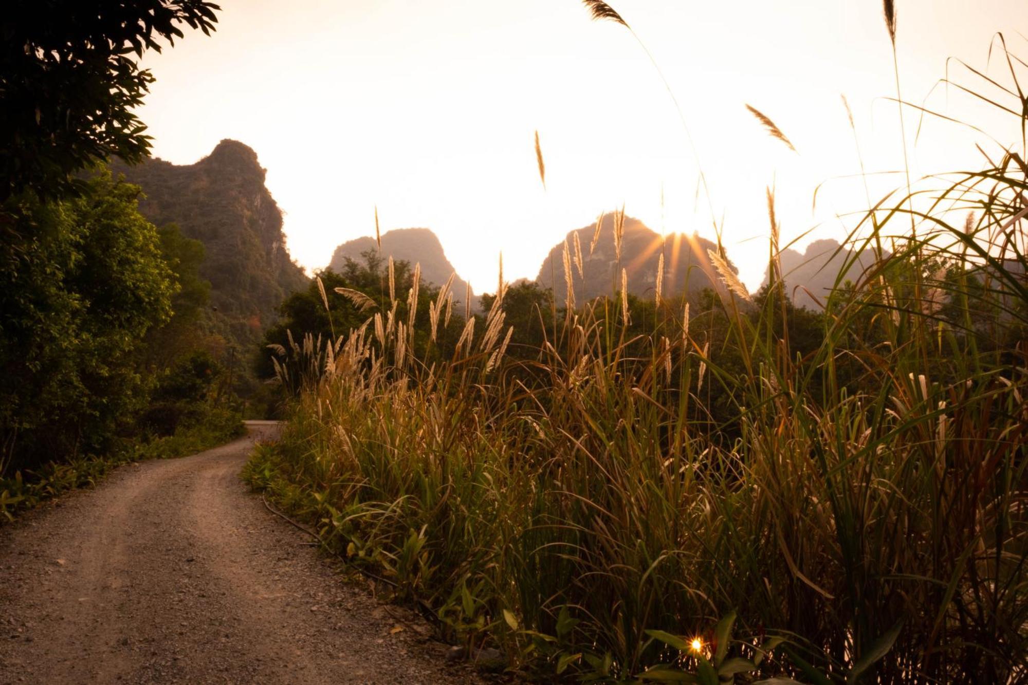 Trang An Ecolodge Ninh Binh Bagian luar foto